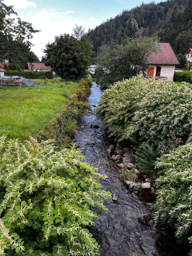 Les Ateliers Villa Gerardmer Exterior photo